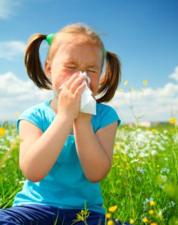 Алергічні прояви викликані неправильною роботою імунної системи