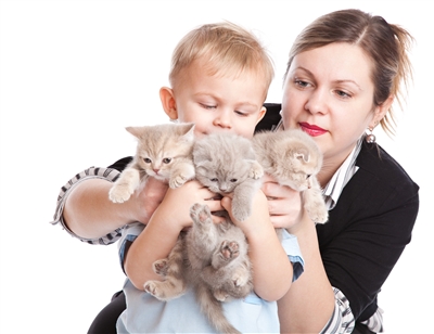 ЧИТАЙТЕ ТАКОЖ:   Домашні вихованці для дітей з алергією: 4 тварин, яких рекомендують алергологи