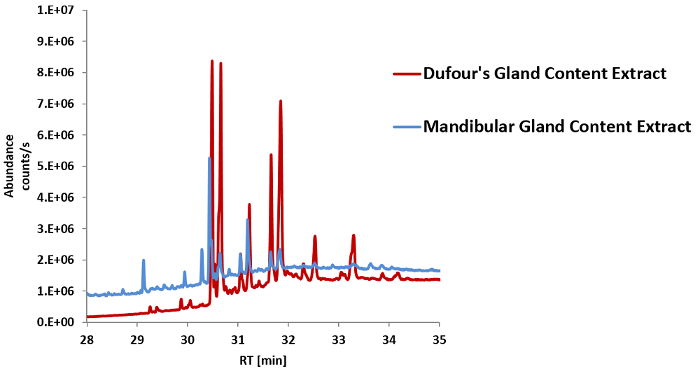 Малюнок 12: накладення TIC Хроматограмма секцій (хв 29 хв 35) DG змісту екстракту (червоний) і зміст MGR екстракт (синій)