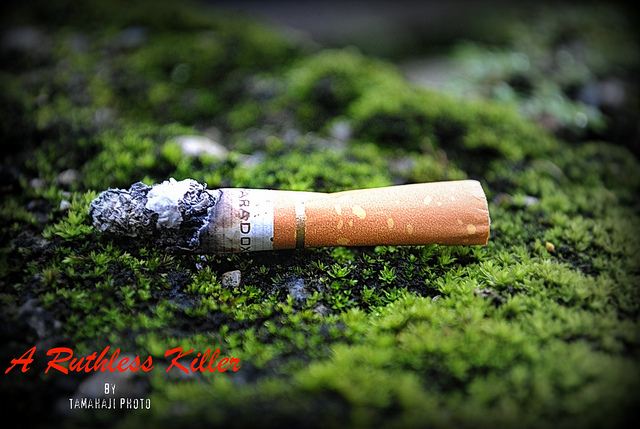 Загальновідомо, що нікотин, що міститься в тютюнових виробах, дійсно уповільнює набір ваги завдяки не тільки тому, що куріння знижує апетит, але і через загальної інтоксикації організму, переважання перекурів над перекушуваннями, а також наявності наркотичного ефекту