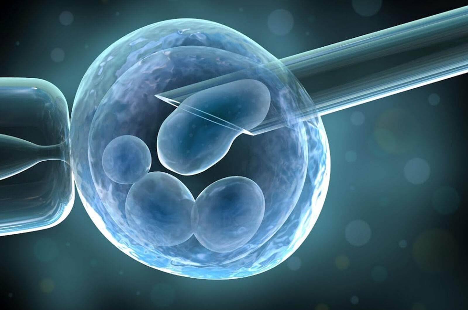 Біопсія ембріонів виконується мікроскопічно за допомогою мікроманіпуляторів