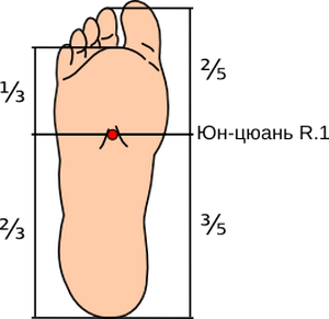 Локалізація: в середині підошви, між II і III плеснової кістками, в поглибленні, що утворюється при поджатия пальців стопи, на 1/3 відстані від підстави II - III пальців до заднього краю п'яти, на 2/5 відстані від кінчика II пальця до заднього краю п'яти