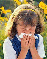 Симптоми весняної алергії дуже схожі на симптоми застуди, тому багато алергіків намагаються спочатку вилікуватися від застуди, і тільки потім, через кілька днів або тижнів, грунтовно помучивши свій організм антибіотиками, починають приймати противоаллергенние препарати