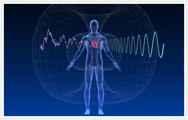 Вплив електромагнітних полів на тіло людини проявляється в ряді негативних наслідків для організму в цілому, а також окремих його складових