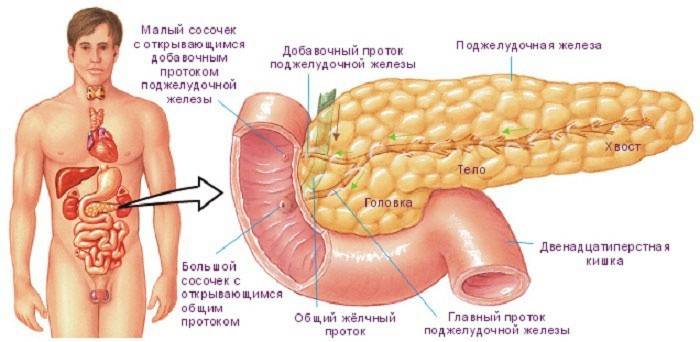 При оперуванні новоутворення в хвості підшлункової залози лікарям нерідко доводиться видаляти і прилеглі органи