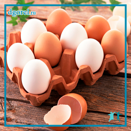 Яйця досить багаті поживними речовинами