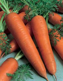 Морква - це забутий секрет молодості, краси і довголіття