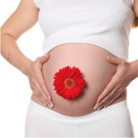 Довгоочікувана вагітність вимагає від майбутніх матусь дотримання певних правил і чи не головним з них є регулярне відвідування жіночої консультації