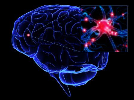 Кровообіг в головному мозку може порушуватися з різних причин