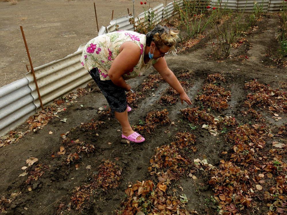 За повідомленнями з Армянська, металеві предмети вкрилися товстим нальотом іржі, в повітрі відзначається підвищений вміст хлорідоводорода