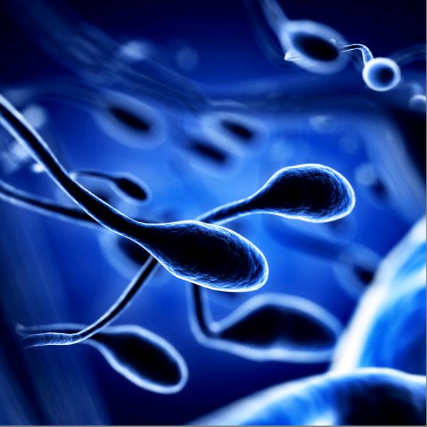 На думку ізраїльських дослідників, діти, зачаті на початку весни менше схильні до ризику хромосомних порушень