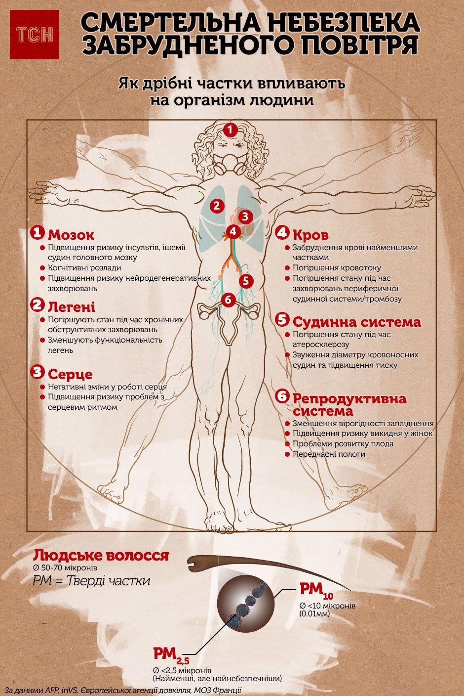 Особливо негативно ці речовини впливають на плід в перші два триместру вагітності, коли відбуваються основні процеси його розвитку