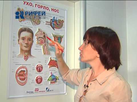 Хвилина здоров'я Нариви в носі