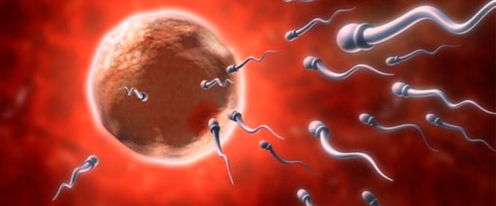 Зачаття дитини - дуже тонкий процес