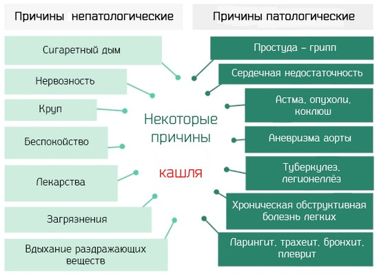 Кашель може бути як єдиним симптомом захворювання, так і одним з численних ознак будь-якої патології