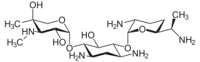 гентаміцин   Хімічне з'єднання   ІЮПАК   (3 R, 4 R, 5 R) -2 - {[(1 S, 2 S, 3 R, 4 S, 6 R) -4,6-   діаміно-3 - {[(2 R, 3 R, 6 S) -   3-аміно-6 - [(1 R) -   1- (метиламіно) етил] оксан-2-yl] окси} -   2-гідроксіціклогексіл] окси} -5-метил-   4- (метиламіно) оксан-3,5-діол   Брутто-формула   C21H43N5O7   молярна маса   477