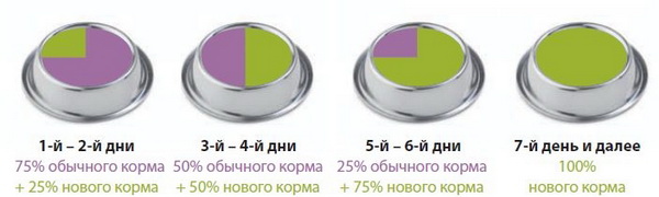 Періодичність зміни корму для собак