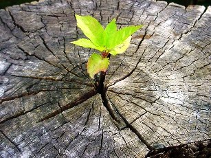 Ласкаво просимо в точку неповернення