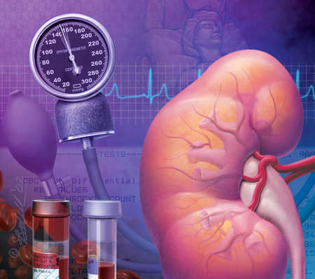 Втрата функції нирок може бути викликана впливом різних факторів: