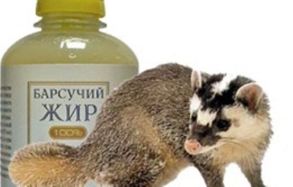 компреси