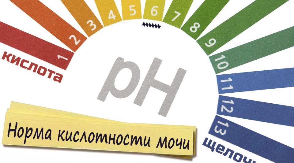 Кислотність середовища, а точніше її «рН», є показником концентрації і активності іонів водню