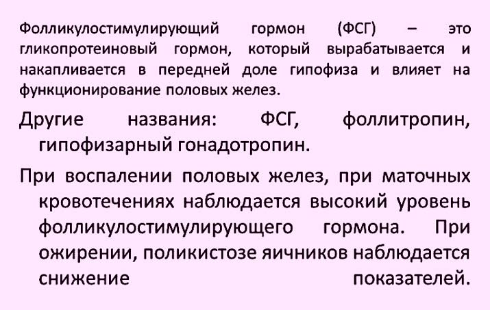 Лінійні, тенденції другого порядку і третього порядку в межах часового ряду були видалені, а Норвегія воксель була досягнута шляхом ділення інтенсивності сигналу в кожен момент часу на середню інтенсивність вокселей