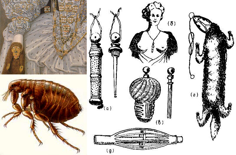 Більш того блохи в багатьох випадках викликали до себе інтерес у колекціонерів і навіть служили предметом екстравагантних розваг