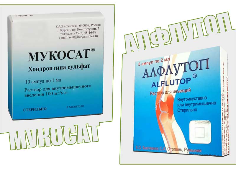 Як кажуть енергійні люди, рух - це життя