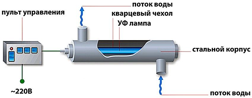 Під впливом променів хромосоми шкідливих мікроорганізмів руйнуються