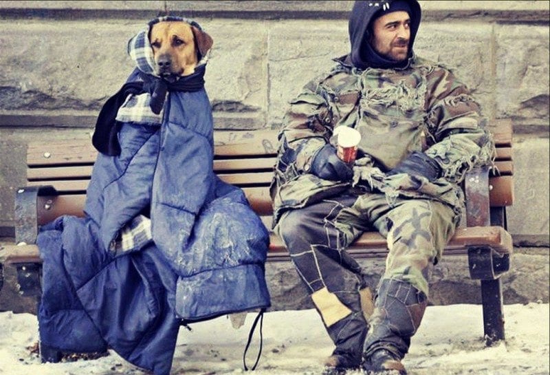 Для цієї мети краще вибрати сумку чорного кольору, оскільки на ній менш помітні мокрі плями