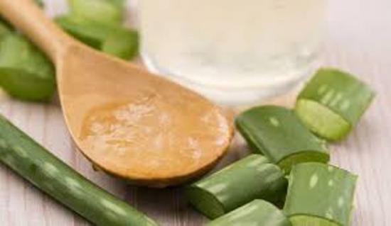 У цей період рослина менш болісно перенесе обрізку