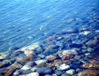 А знаете ли вы, что в жилах наших текут воды древнего моря