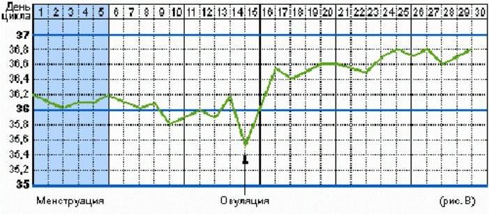 Якщо протягом усього циклу змін температури не зафіксовано, значить, виходу яйцеклітини не відбулося