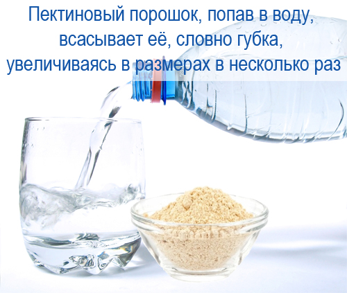 Якщо частинки пектинового порошку при зіткненні з водою знаходяться близько один до одного, то, всмоктуючи воду і розбухаючи, вони злипаються, утворюючи один великий липкий ком, надзвичайно повільно розчиняється в воді