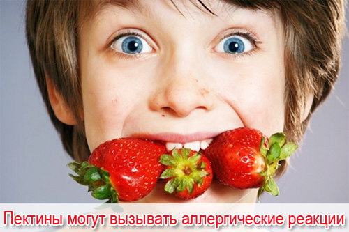 Поряд з очевидною користю для організму людини, Пектини можуть завдати шкоди здоров'ю - вони викликають алергічні реакції