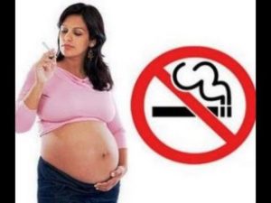 Чоловічі статеві клітини - сперматозоїди оновлюються кожні три місяці, а ось жіночі яйцеклітини - свого роду довгожителі