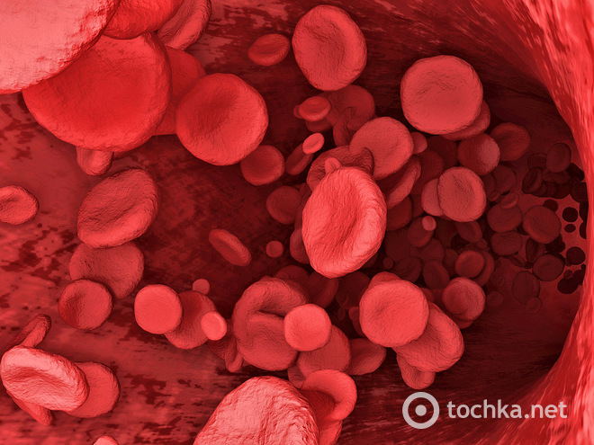 здоров'я   Анемія (від грец