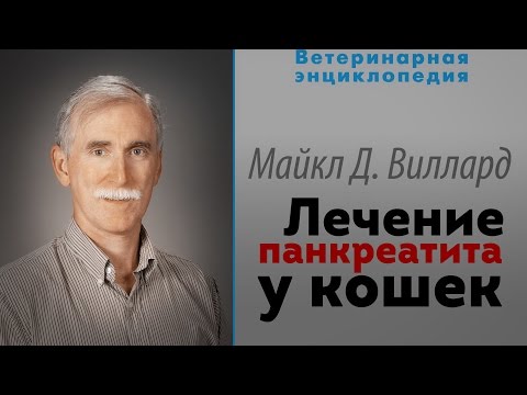 Не можна давати сирі овочі і фрукти, навіть якщо вихованець їх любить і відчуває себе добре