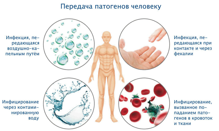 · Перші симптоми