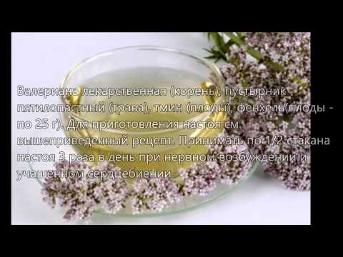 Настоянка валеріани рецепти застосування і лікування