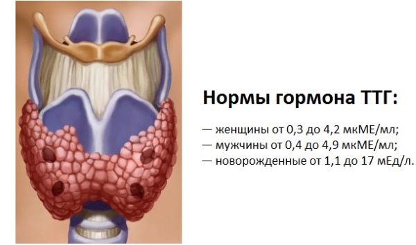 Зрозуміло, чим раніше ви нормалізуете ситуацію, тим вище шанси уникнути неприємних і небезпечних для здоров'я або життя наслідків