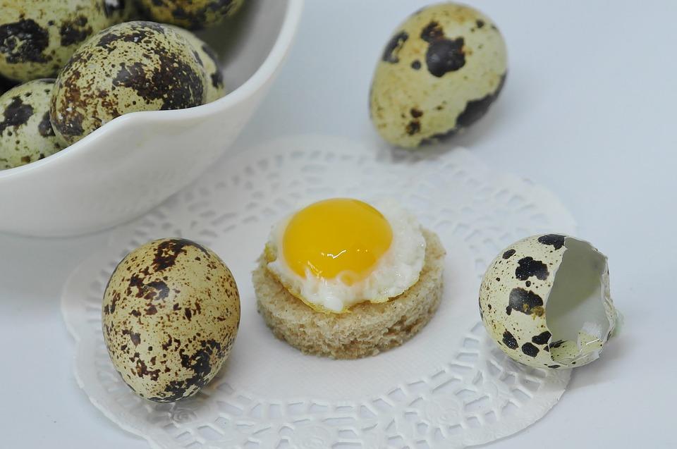 В Японії кожен школяр на обід отримує 2 перепелиних яйця