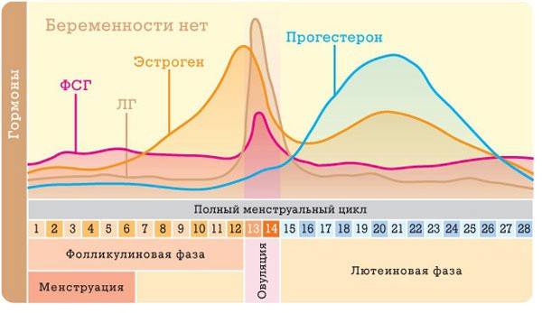 Що показує аналіз на прогестерон