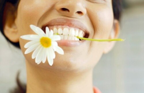 В підсумку,   навесні   , Влітку, взимку і восени зуби не будуть вас турбувати через дрібниці, і ви ніколи не дізнаєтеся, що таке зубний біль