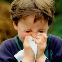 Що таке алергія і як вона може зіпсувати життя людині, навряд чи зрозуміє той, хто ніколи задихався від кашлю і зі сльозами   на очах не шукав гарячково в сумці рятівний лікарський препарат