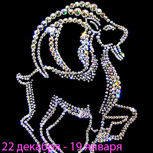 У жовтні 2012 року Козерогам надійде відразу кілька привабливих пропозицій за основними сферами життя: кар'єрі, любові, здоров'я