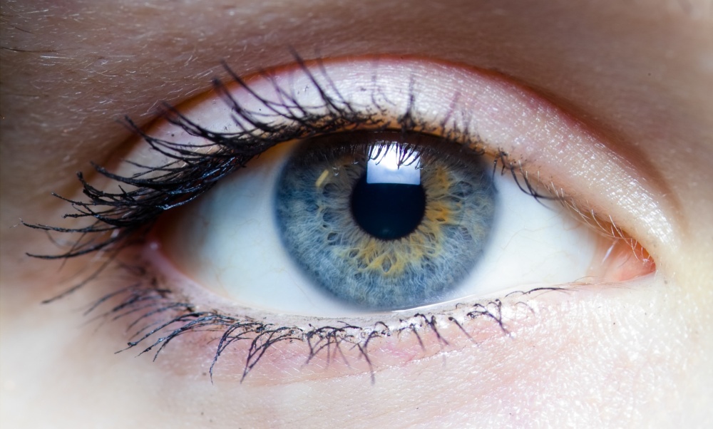 У очей, як і у будь-якого іншого органу, можуть виникнути різні захворювання