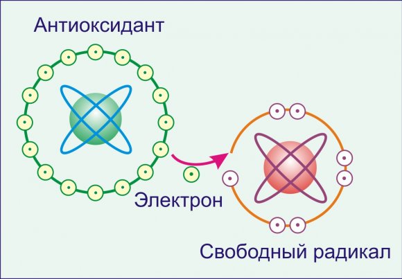 Вам буде цікаво:   Як вітамін Е впливає на здоров'я