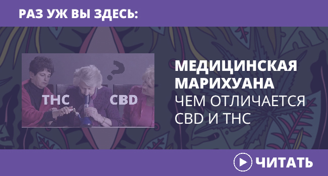 Марихуана росте і продається скрізь, зупинити її вживання навряд чи під силу навіть таким нестримним борцям з наркозлочинністю, як Ілля Ківа