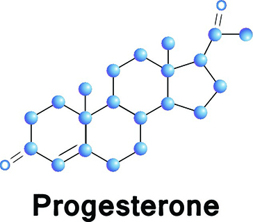 Для того щоб зрозуміти, для яких цілей призначається підтримка прогестероном після перенесення ембріонів в матку, необхідно розібратися в його впливі на жіночий організм: